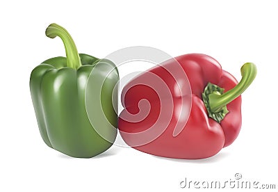 Red and green bell peppers. Vector Illustration
